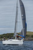 hot toddy 9797c whyw24 sun 750 7149